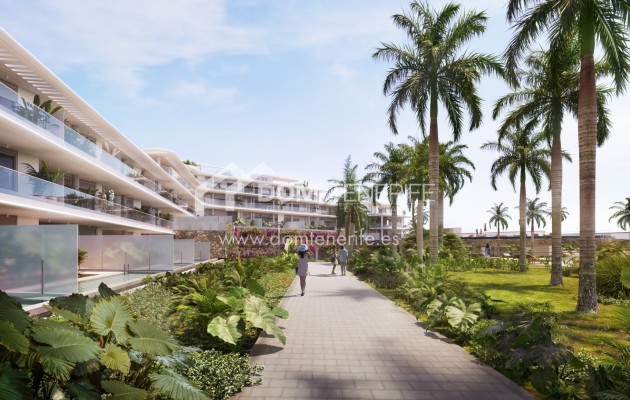 Apartment - New developments - Guía de Isora  - Playa San Juan