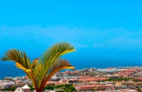 Apartment - Sale - Adeje - VGC02052401