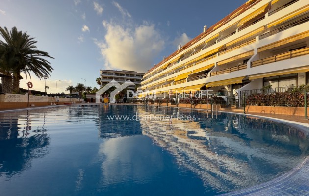 Plat - Revente - Guía de Isora  - Playa La Arena