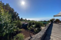 Rustic House / rustic land - Sale - La Orotava - VG19022102