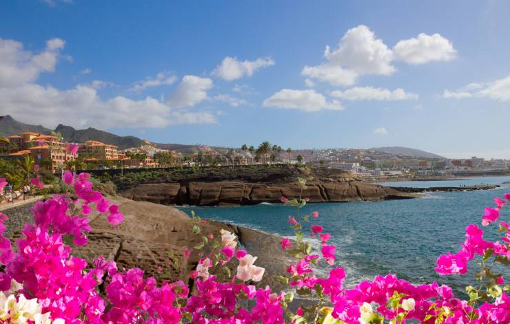 Guide to the best neighborhoods in Tenerife South