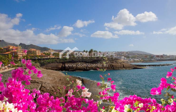 Guide to the best neighborhoods in Tenerife South
