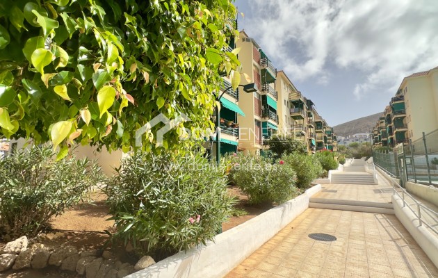 Venta - Apartamento -
Arona - Los Cristianos