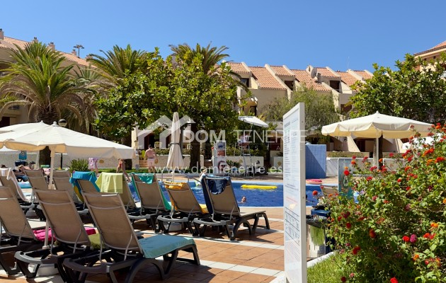 Alquiler a largo plazo - Apartamento -
Arona - Playa de Las Americas