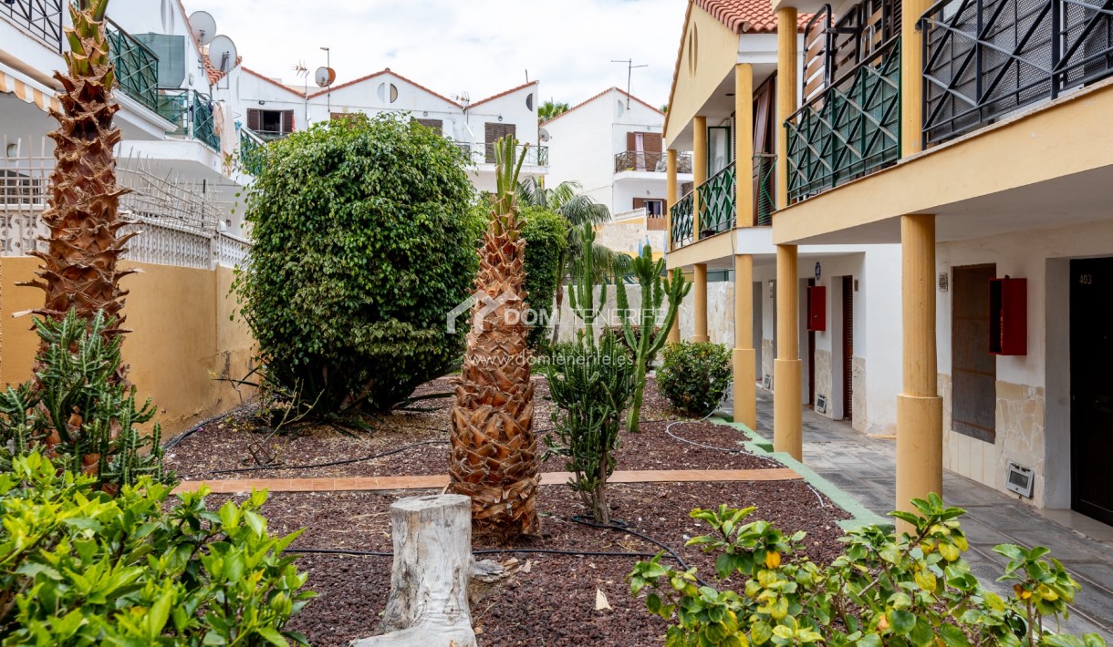 Wiederverkauf - Duplex -
Arona - Playa de Las Americas