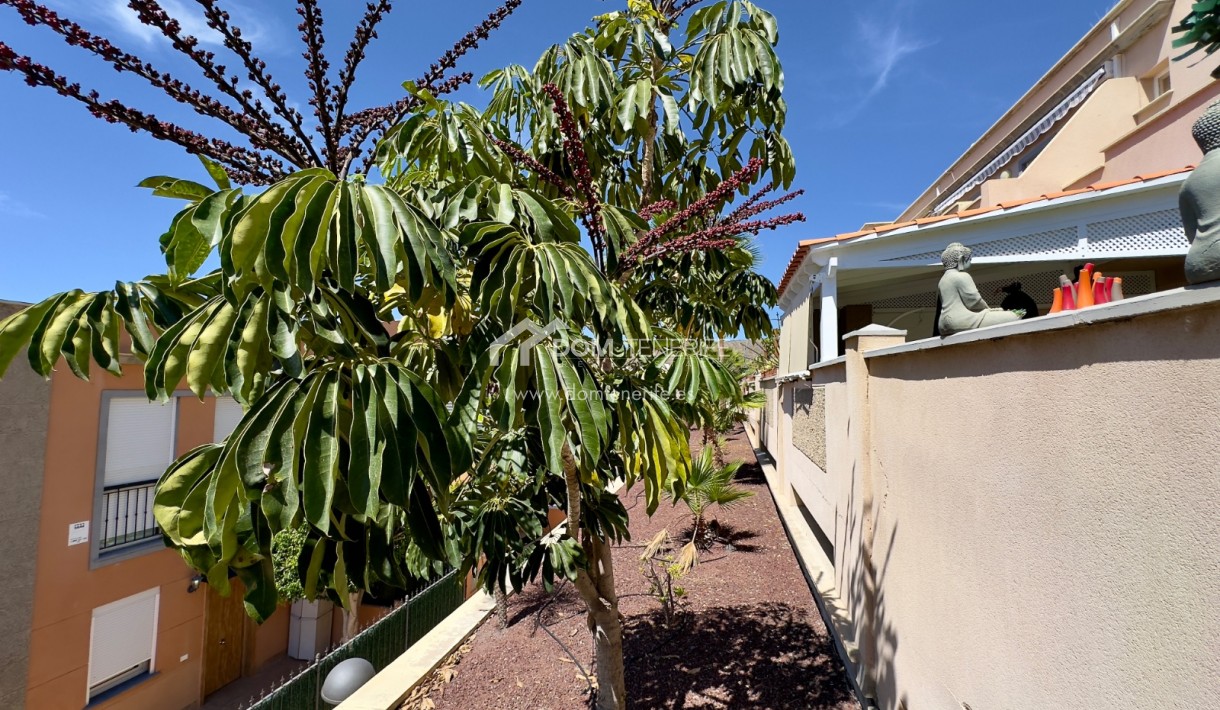 Revente - Maison de ville -
Adeje - Roque del Conde