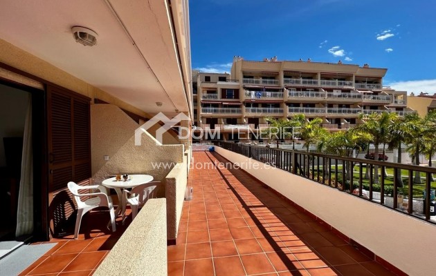 Location - Plat -
Arona - Playa de Las Americas