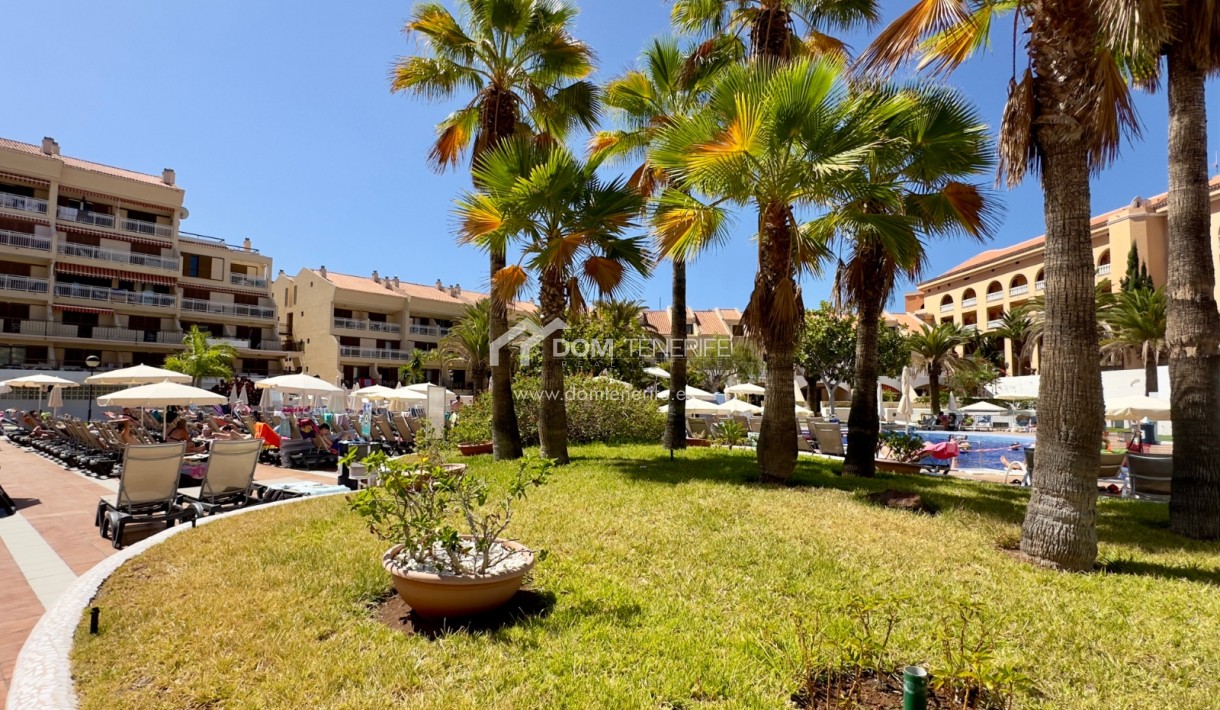 Alquiler a largo plazo - Apartamento -
Arona - Playa de Las Americas