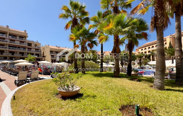 Alquiler a largo plazo - Apartamento -
Arona - Playa de Las Americas