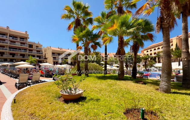 Location - Plat -
Arona - Playa de Las Americas