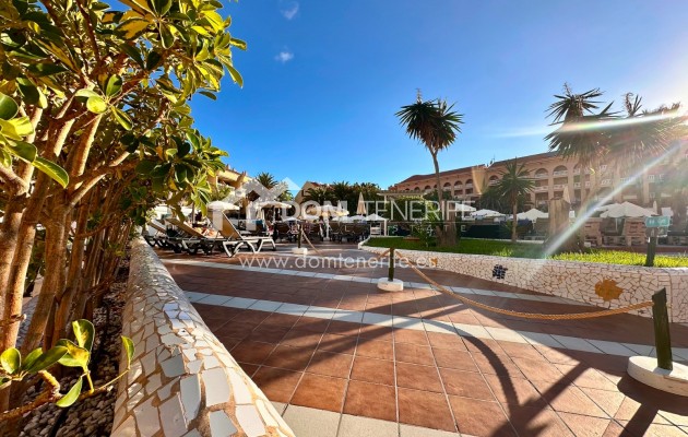 Location - Plat -
Arona - Playa de Las Americas