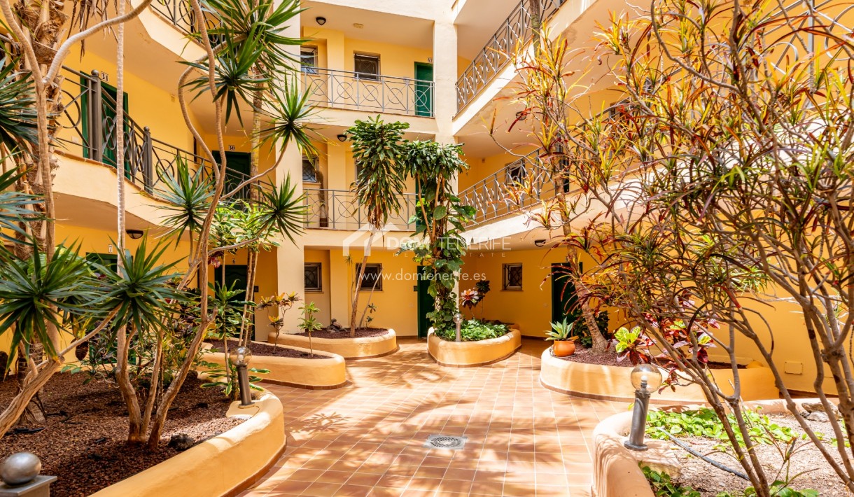 Wiederverkauf - Wohnung -
Arona - Los Cristianos