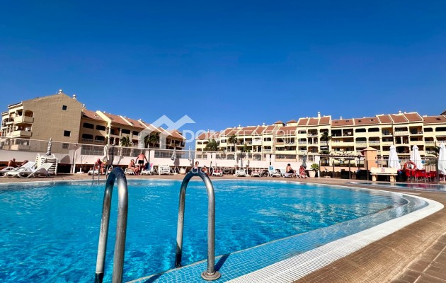 Langfristige mieten - Wohnung -
Arona - Los Cristianos