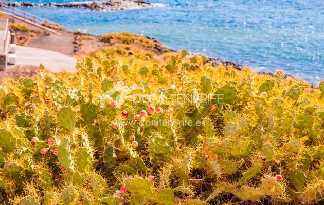 Sale - Villa -
San Miguel de Abona - Amarilla Golf