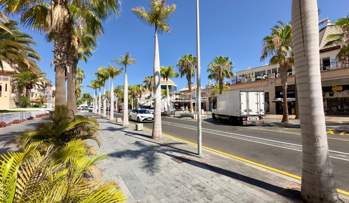 Location - Plat -
Arona - Playa de Las Americas