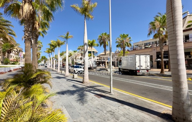 Location - Plat -
Arona - Playa de Las Americas