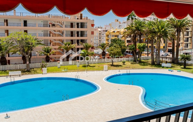 Short term rent - Apartment -
Arona - Los Cristianos