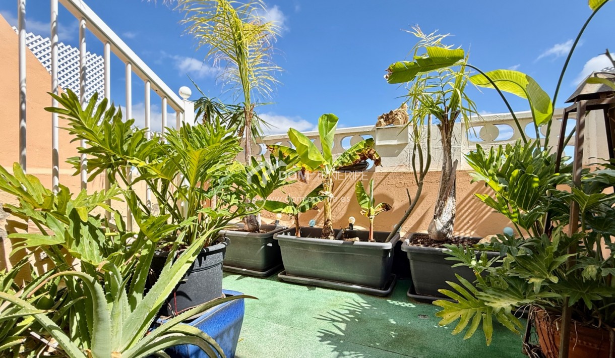Sale - Apartment -
Arona - Chayofa
