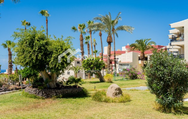 Long term rent - Studio -
Adeje - Miraverde