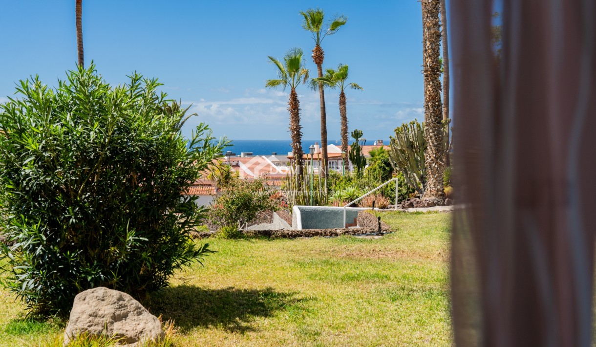 Long term rent - Studio -
Adeje - Miraverde