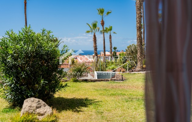 Long term rent - Studio -
Adeje - Miraverde