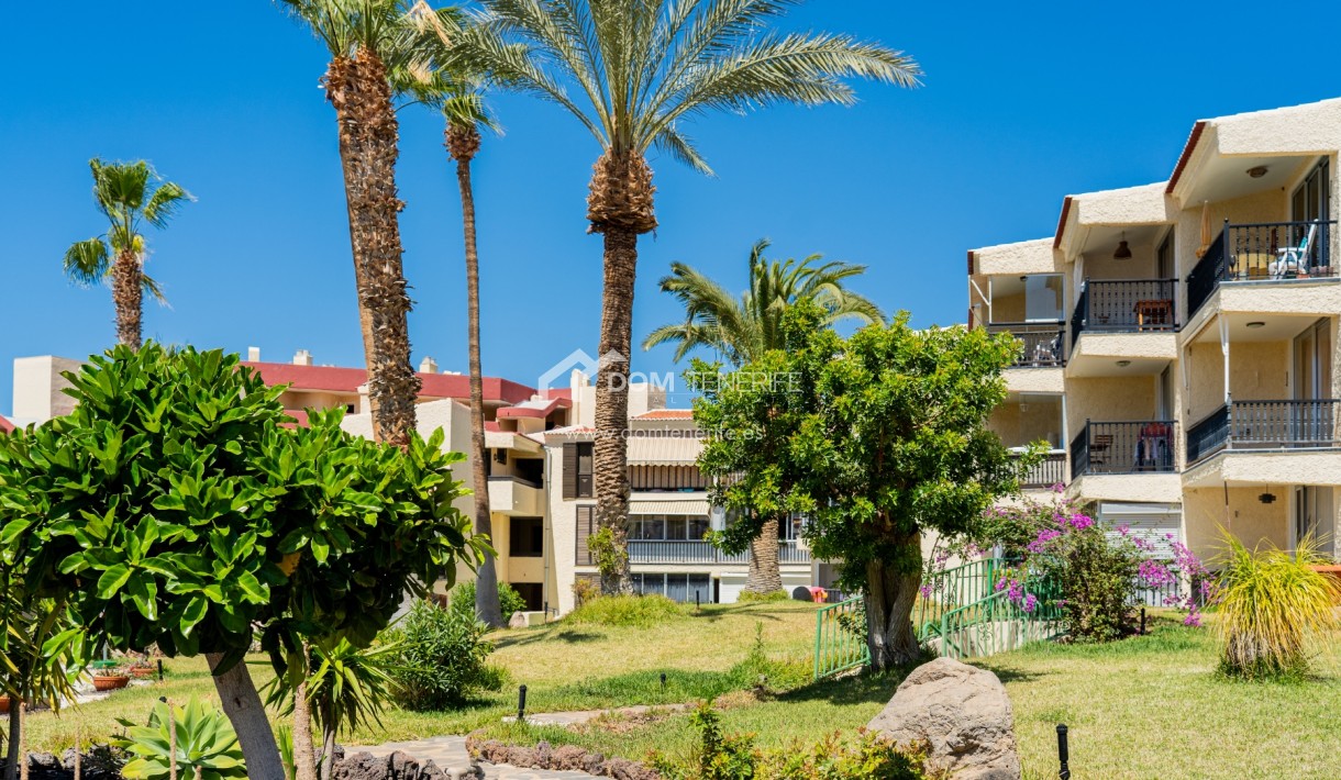Long term rent - Studio -
Adeje - Miraverde