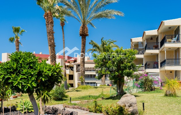 Long term rent - Studio -
Adeje - Miraverde