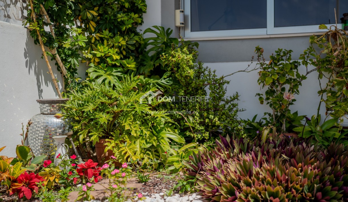 Kurzzeitmiete - Wohnung -
Adeje - El Madroñal