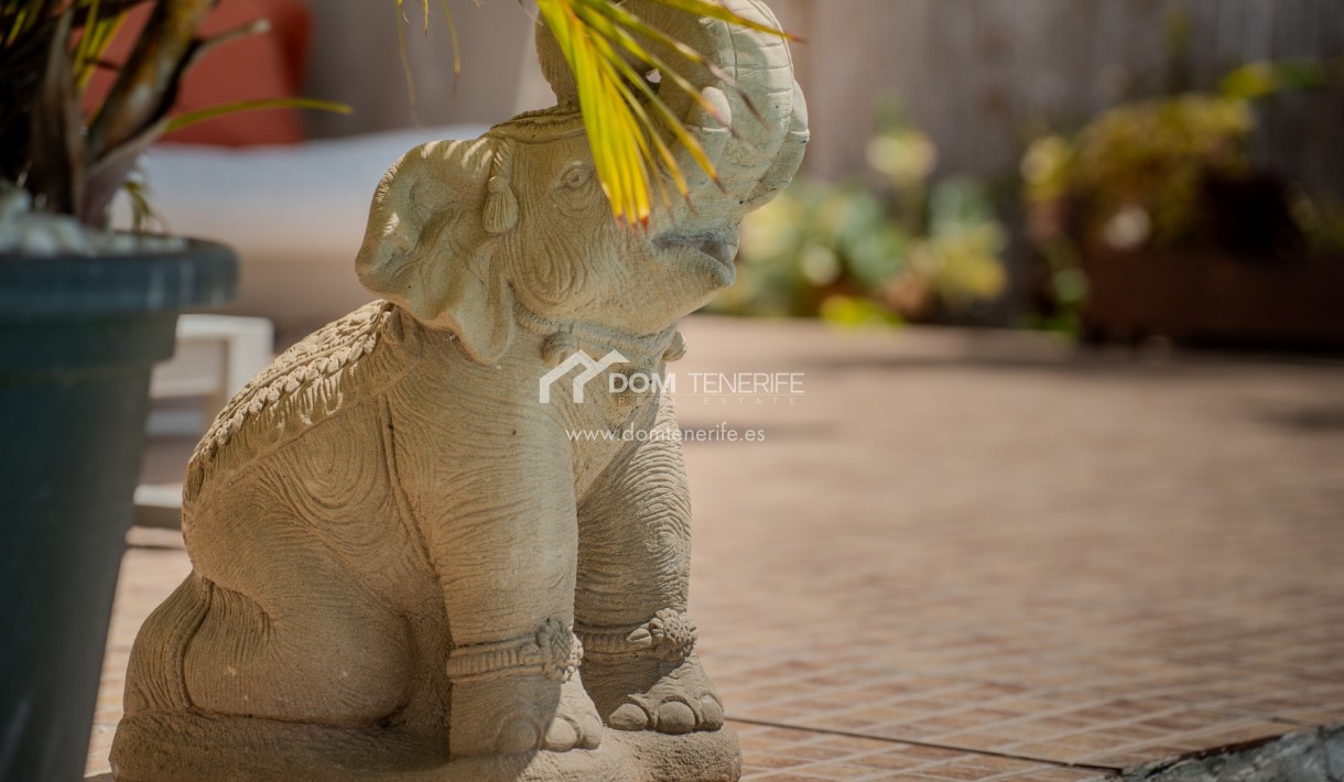 Kurzzeitmiete - Wohnung -
Adeje - El Madroñal