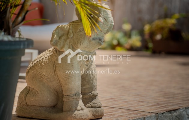 Kurzzeitmiete - Wohnung -
Adeje - El Madroñal