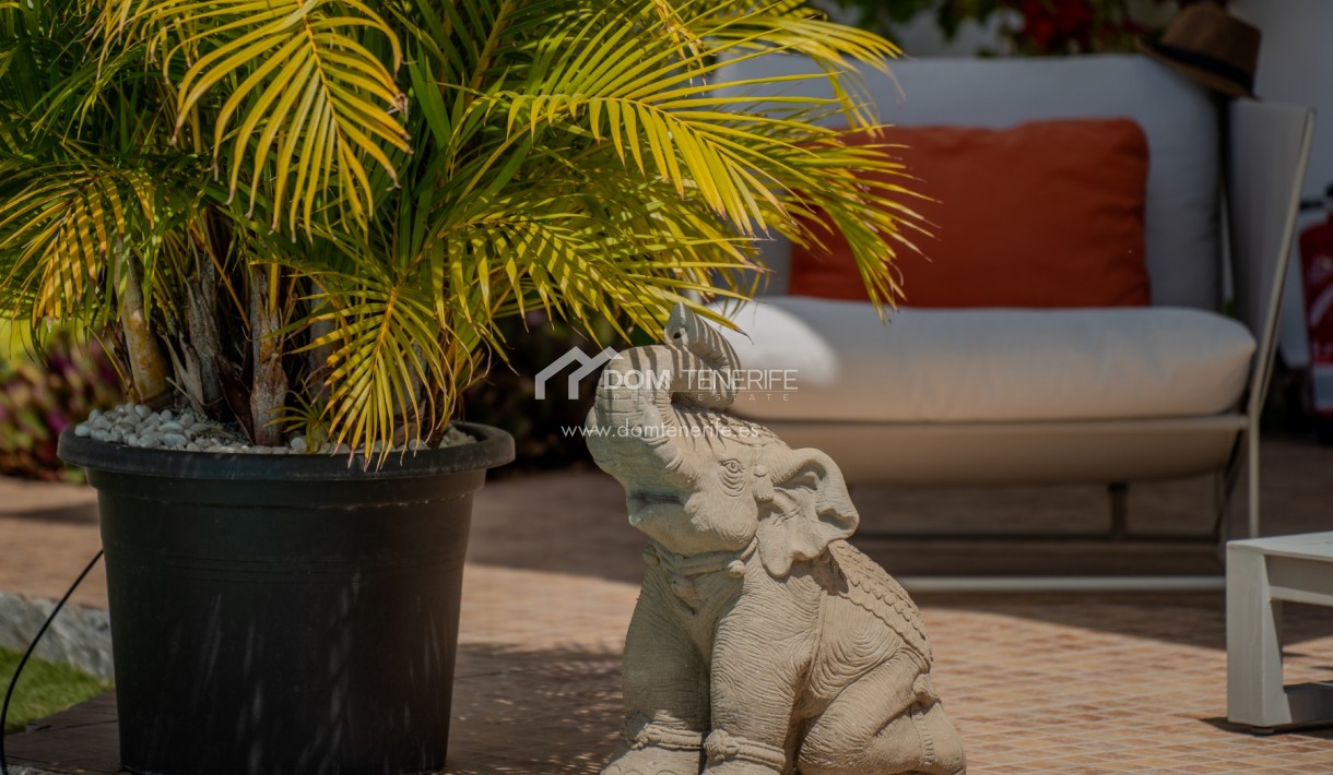 Kurzzeitmiete - Wohnung -
Adeje - El Madroñal