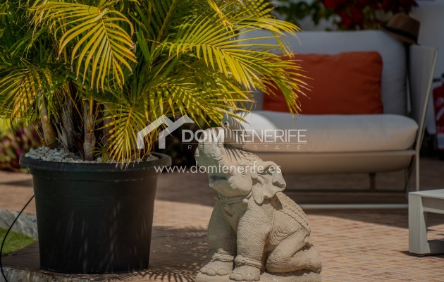 Kurzzeitmiete - Wohnung -
Adeje - El Madroñal