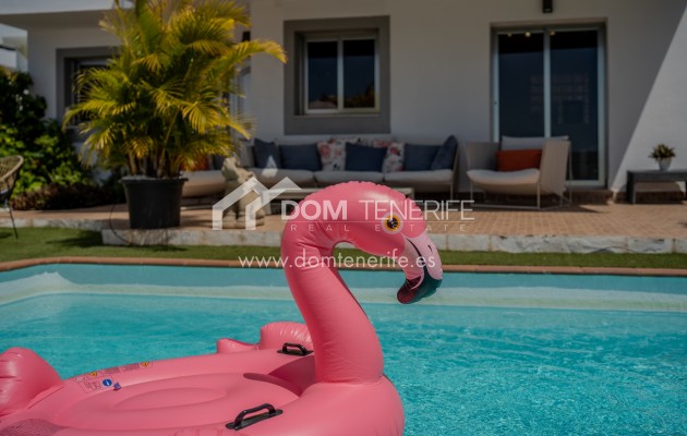 Kurzzeitmiete - Wohnung -
Adeje - El Madroñal