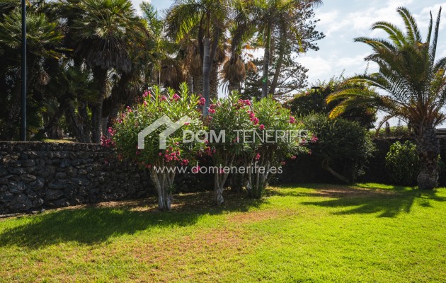 Alquiler a corto plazo - Apartamento -
Puerto de La Cruz  - Puerto de La Cruz