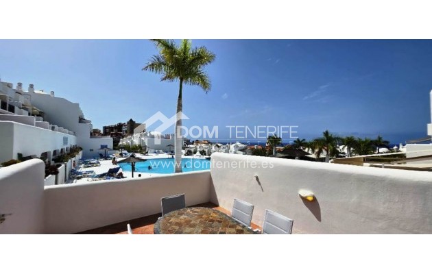 Wiederverkauf - Wohnung -
Adeje - Playa Paraiso