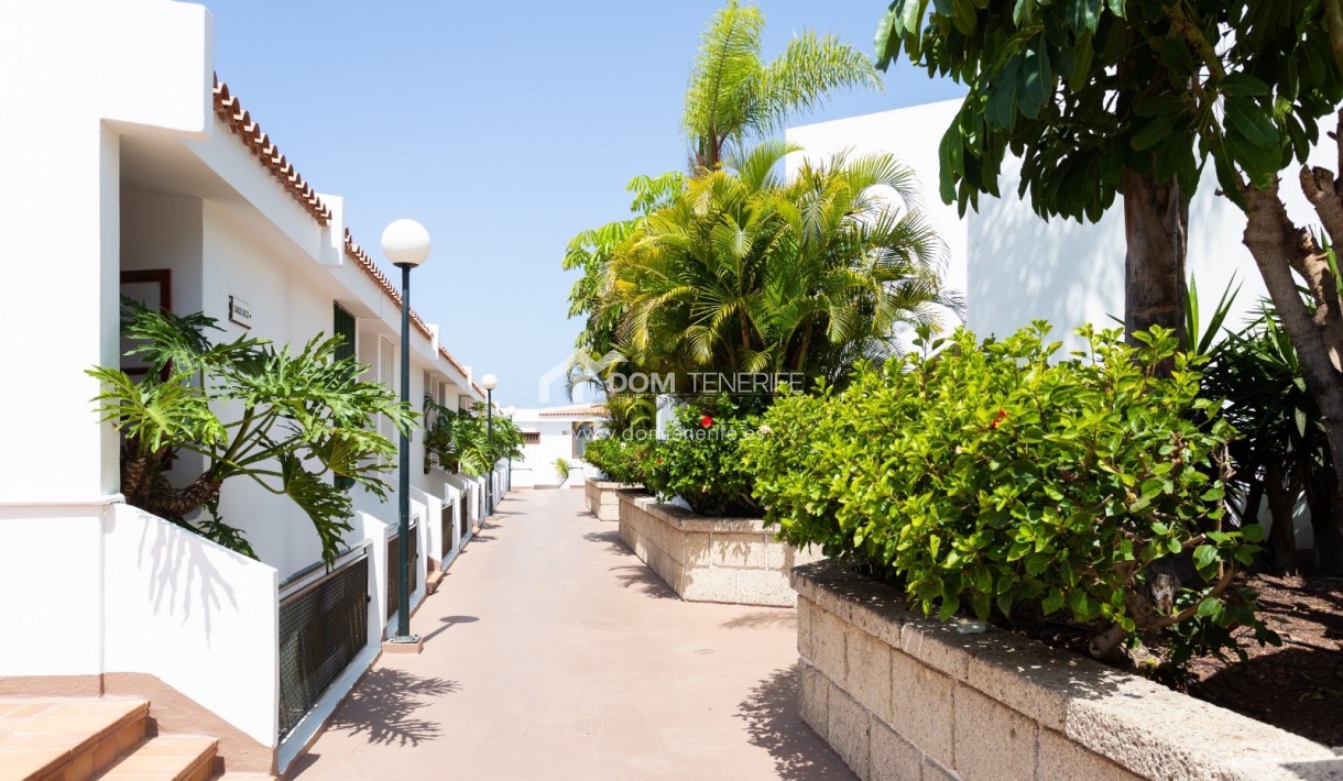 Kurzzeitmiete - Wohnung -
Adeje - San Eugenio Alto