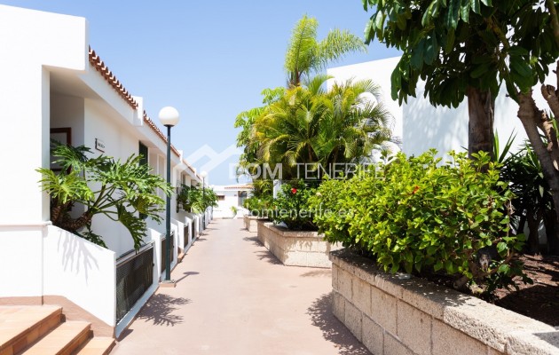 Kurzzeitmiete - Wohnung -
Adeje - San Eugenio Alto