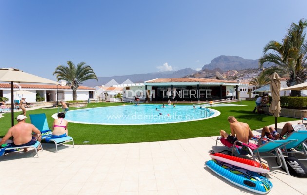 Kurzzeitmiete - Wohnung -
Adeje - San Eugenio Alto