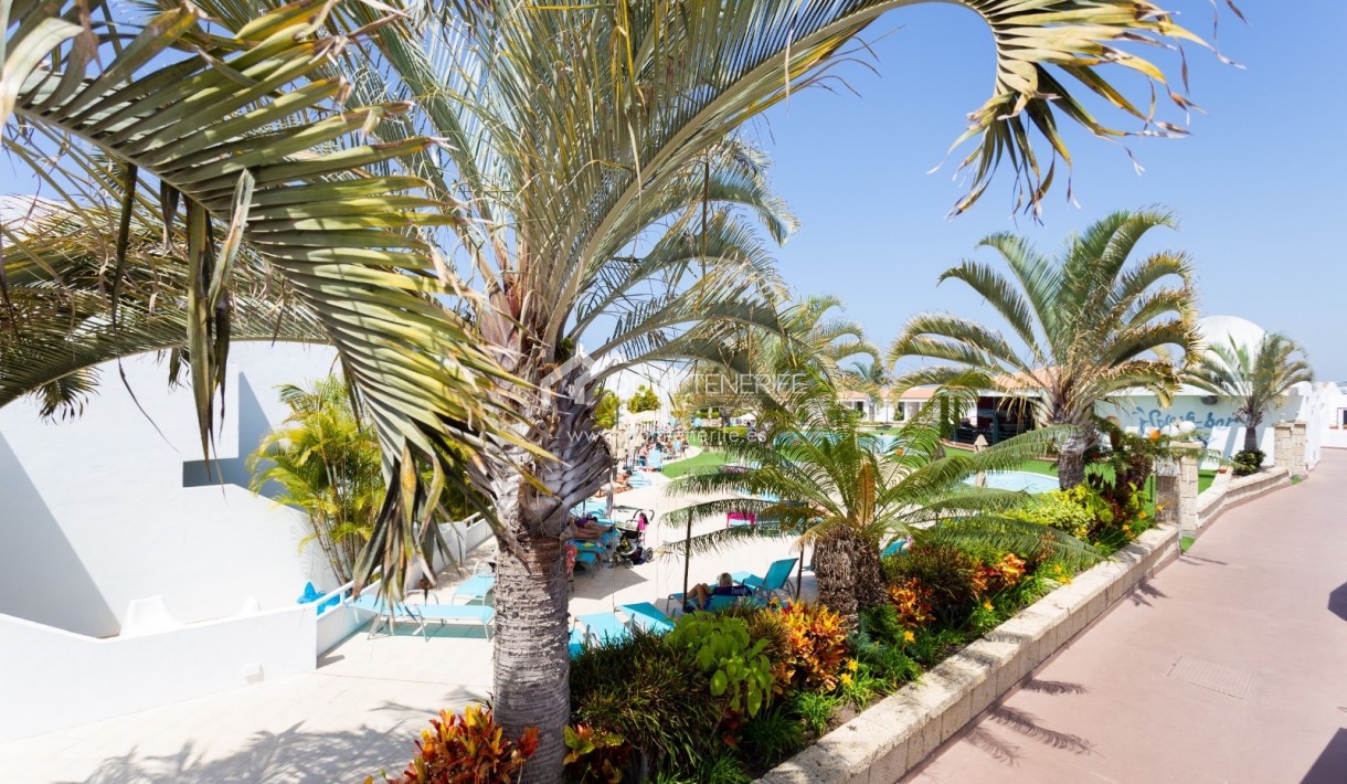 Kurzzeitmiete - Wohnung -
Adeje - San Eugenio Alto