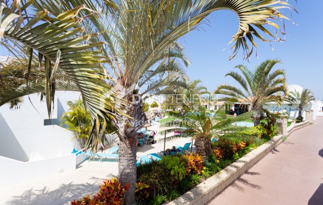 Kurzzeitmiete - Wohnung -
Adeje - San Eugenio Alto