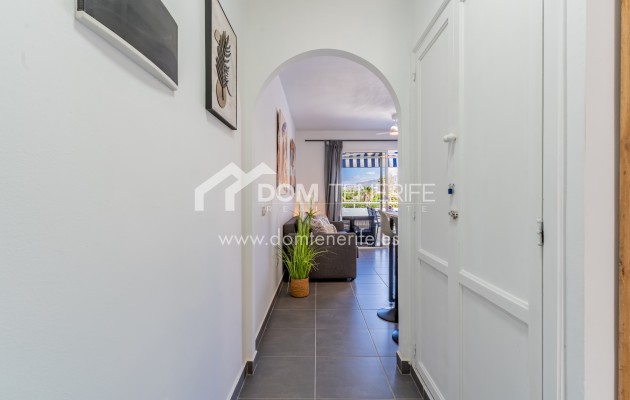 Kurzzeitmiete - Wohnung -
Adeje - San Eugenio Alto