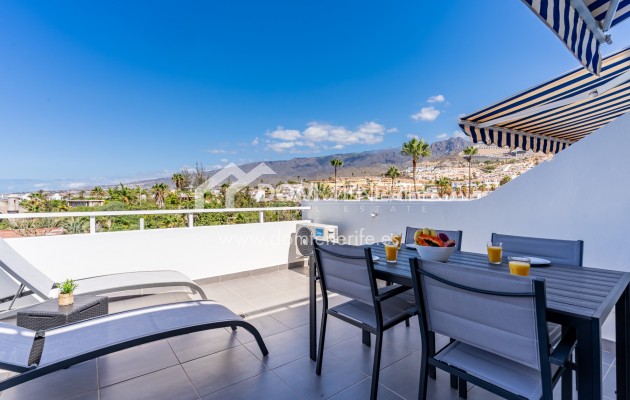 Kurzzeitmiete - Wohnung -
Adeje - San Eugenio Alto