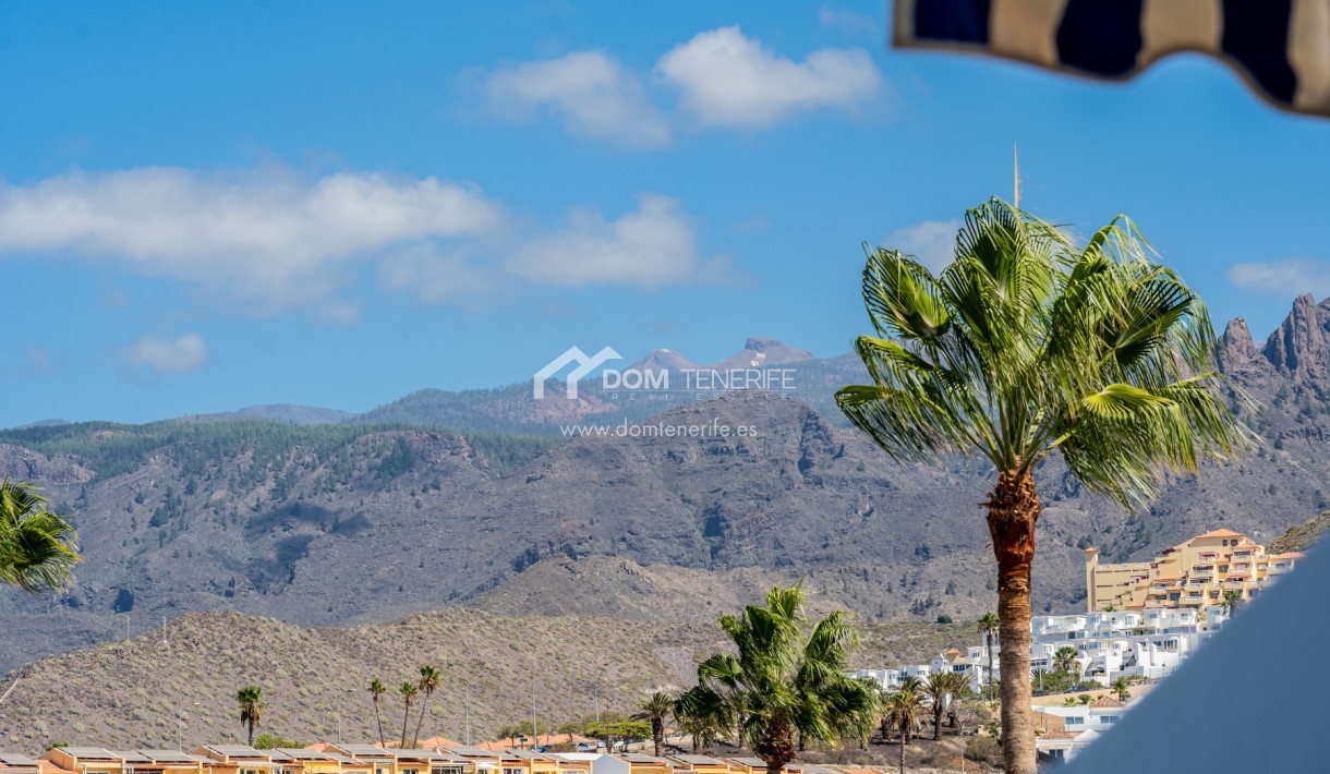 Kurzzeitmiete - Wohnung -
Adeje - San Eugenio Alto