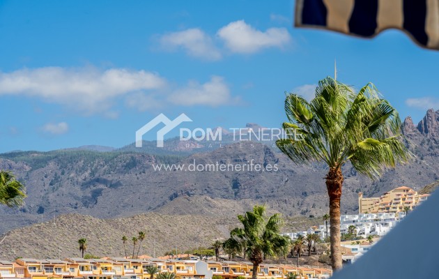 Kurzzeitmiete - Wohnung -
Adeje - San Eugenio Alto