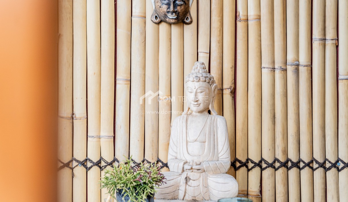 Kurzzeitmiete - Wohnung -
Adeje - Roque del Conde