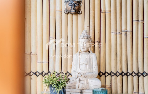 Kurzzeitmiete - Wohnung -
Adeje - Roque del Conde