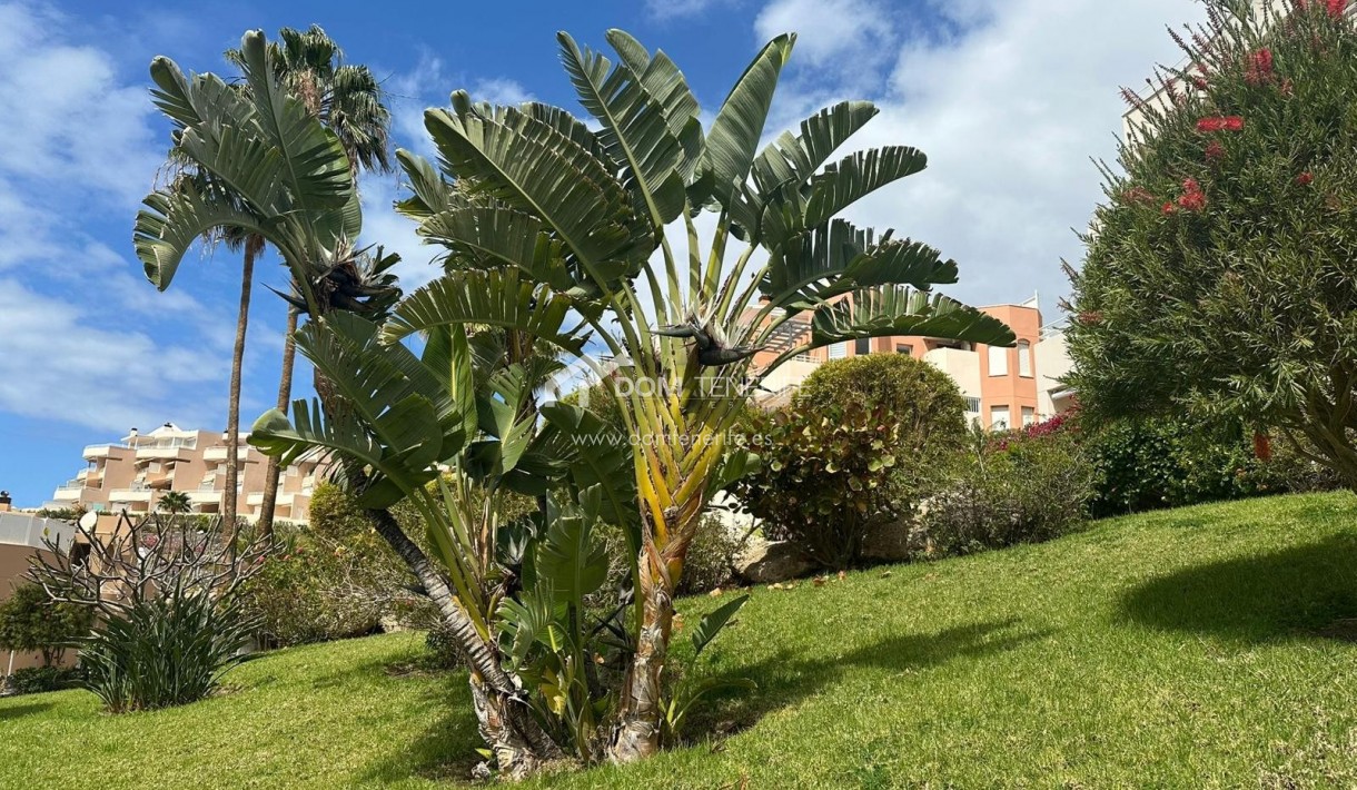 Venta - Apartamento -
Adeje - La Caleta