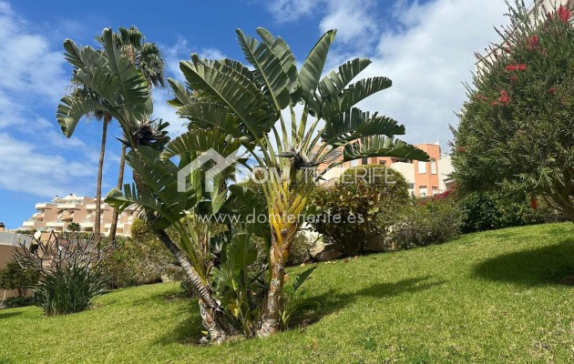 Venta - Apartamento -
Adeje - La Caleta