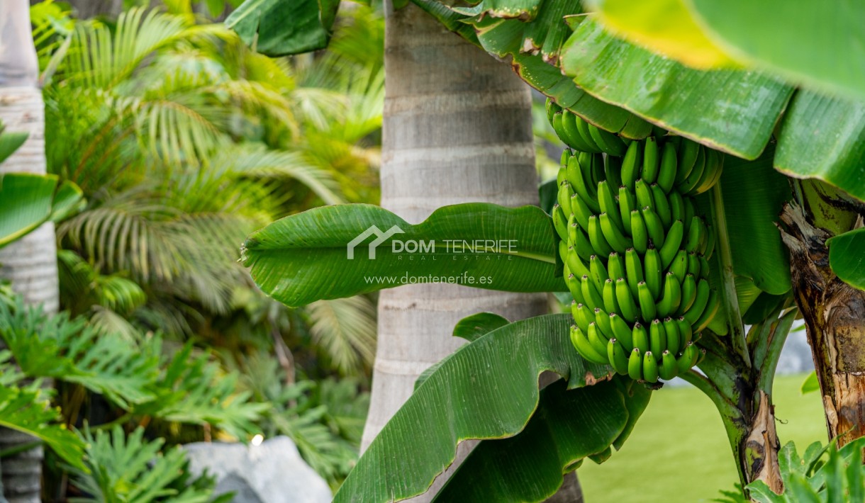 Wiederverkauf - Villa -
Guía de Isora  - Abama