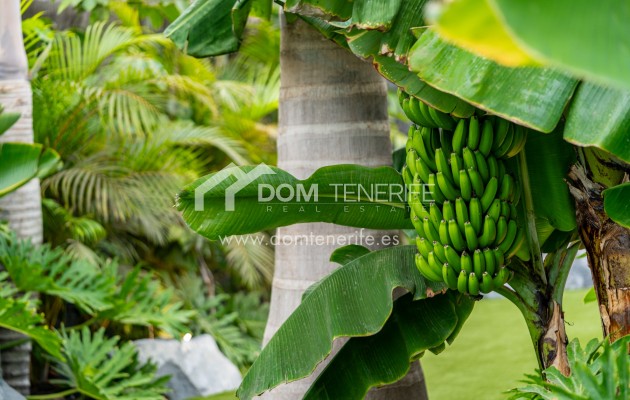 Wiederverkauf - Villa -
Guía de Isora  - Abama